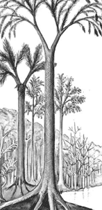 illusztr�ci�