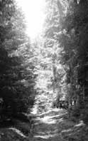 illusztr�ci�