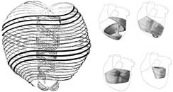 c�mlap