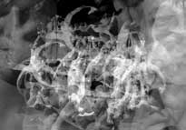illusztr�ci�