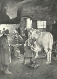 KOV�CSMUHELY GOR� LAJOS RAJZA