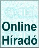 Az archiv�lt  verzi� megnyit�sa Open the archive version