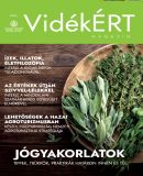 A h�l�zatos verzi� megnyit�sa Open the online version