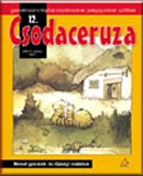 A h�l�zatos verzi� megnyit�sa Open the online version