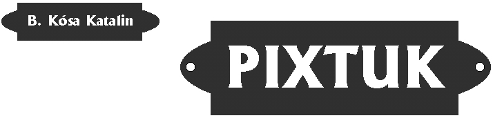 B. K�sa Katalin: Pixtuk - fejl�c