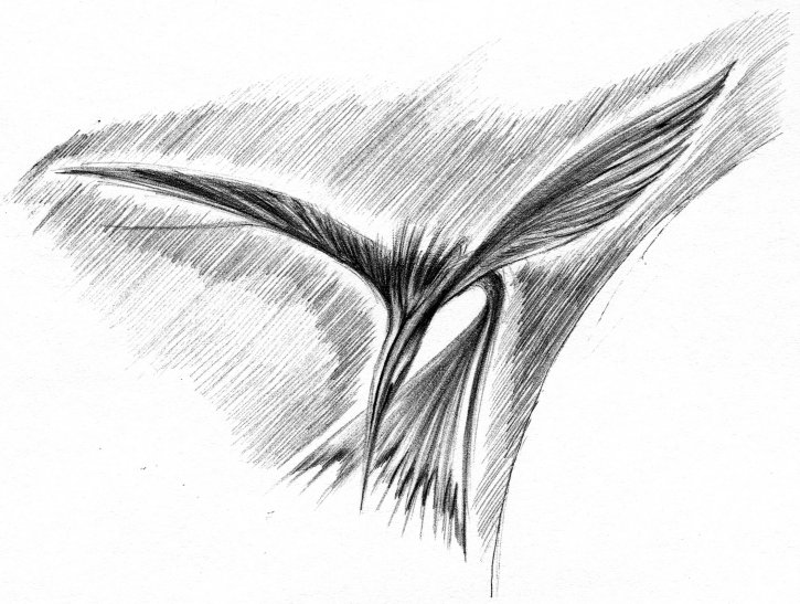 Jonathan Cross (Beny�k Zolt�n): A horizonton t�l - illusztr�ci� - Grafika &copy; Heim Attila
