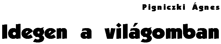 Pigniczki �gnes: Idegen a vil�gomban - fejl�c