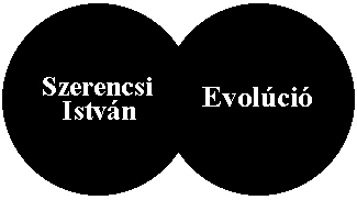 Szerencsi István: Evolúció - fejléc