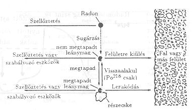 12. ábra