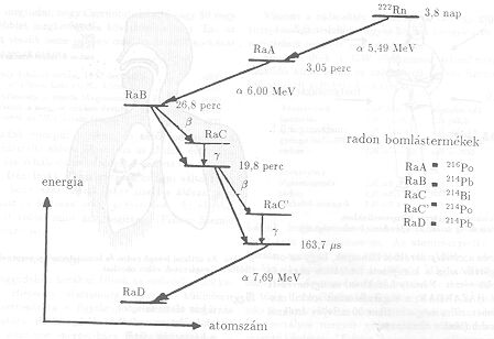 4.ábra