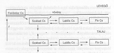 3. ábra
