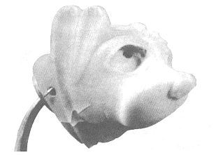8. �bra.