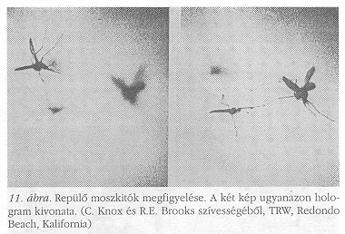 11. �bra