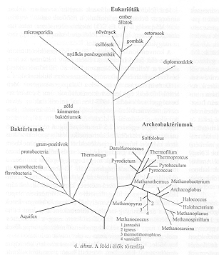 4.
�bra