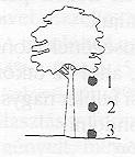 �bra 4-es feladathoz