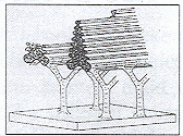 13. �bra