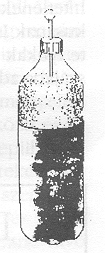 2. �bra