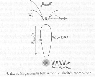 5. �bra