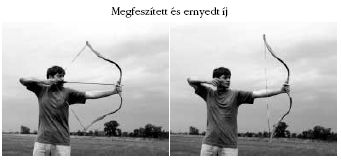 T�zij�t�k