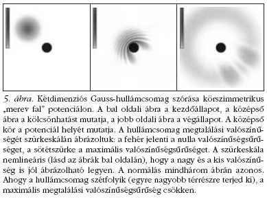 5. �bra