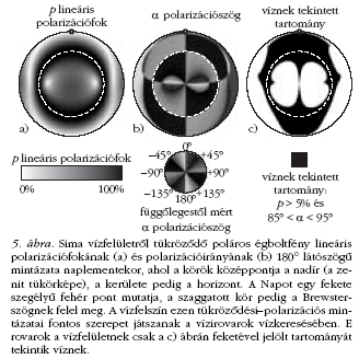 5. ábra
