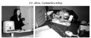 10. �bra