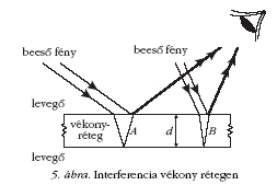 5. �bra