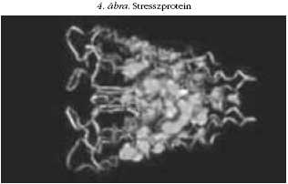 4. �bra