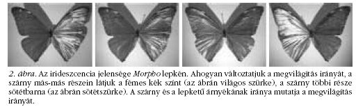 2. �bra