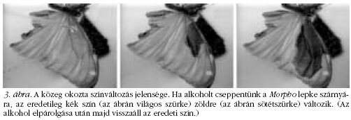 3. �bra