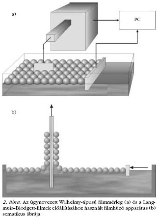 2. ábra