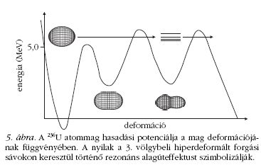 5. ábra