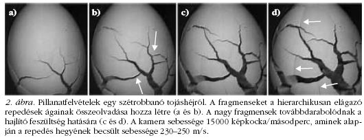 2. �bra