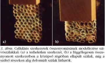 3. �bra