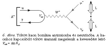 6. �bra