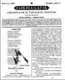 A h�l�zatos verzi� megnyit�sa Open the online version