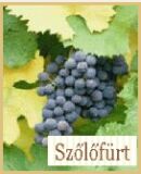 A h�l�zatos verzi� megnyit�sa Open the online version