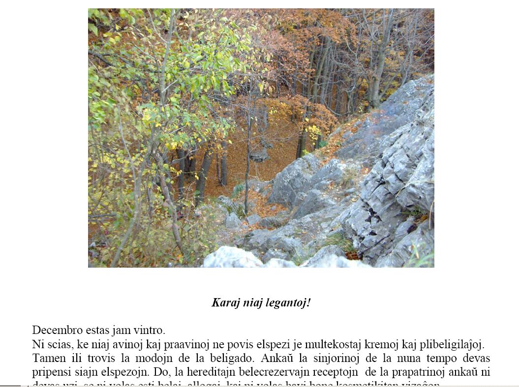 Nordhungaria informo 2007.02.05.