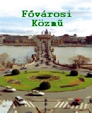 A h�l�zatos verzi� megnyit�sa Open the online version