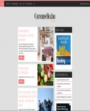 A h�l�zatos verzi� megnyit�sa Open the online version