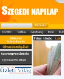 A h�l�zatos verzi� megnyit�sa Open the online version