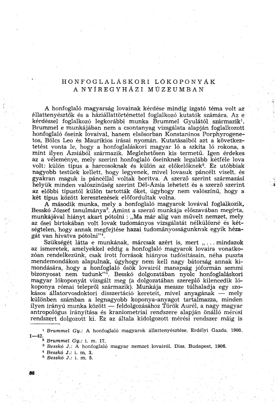 A Ny�regyh�zi J�sa Andr�s M�zeum �vk�nyve 2009.11.10.