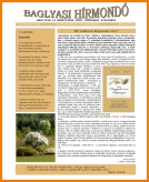 A h�l�zatos verzi� megnyit�sa Open the online version