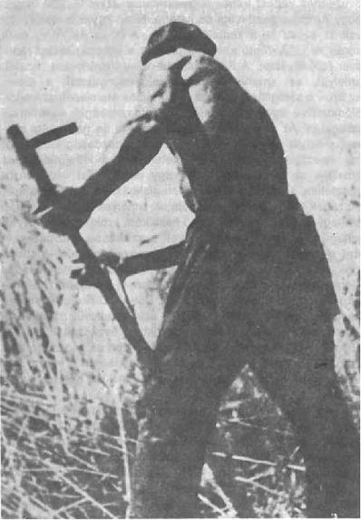 895_Aratomunkas_1930.jpg