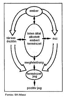 708_40_szigeti.JPG