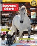 A h�l�zatos verzi� megnyit�sa Open the online version