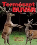 A h�l�zatos verzi� megnyit�sa Open the online version