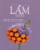 A h�l�zatos verzi� megnyit�sa Open the online version