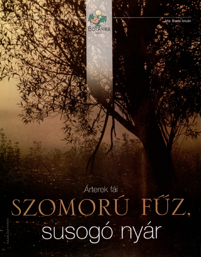 S�ni 2011.11.30.