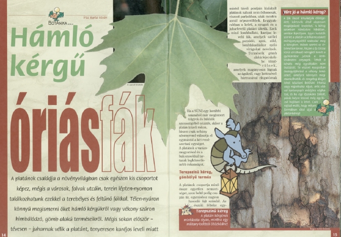 S�ni 2011.11.30.